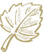Sponsorizzazioni